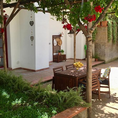 Secret Garden Apartment 卡斯特拉玛雷帝斯达比亚 外观 照片