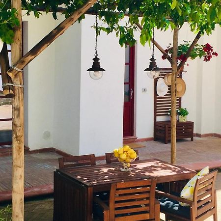 Secret Garden Apartment 卡斯特拉玛雷帝斯达比亚 外观 照片